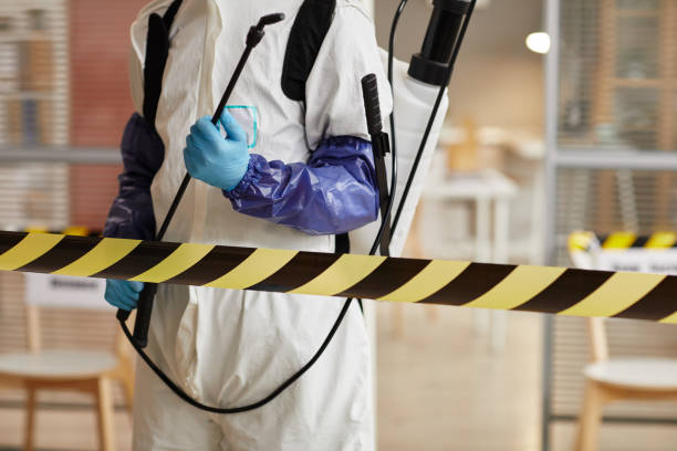 Professional Hoarding Cleanup technician working in Greenville, NH